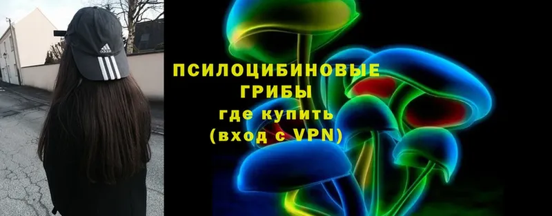 купить   Черкесск  Псилоцибиновые грибы Magic Shrooms 